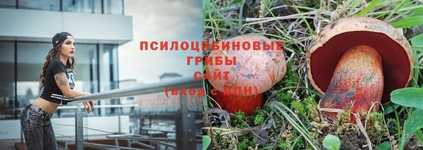 героин Богданович