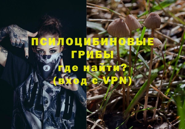 героин Богданович